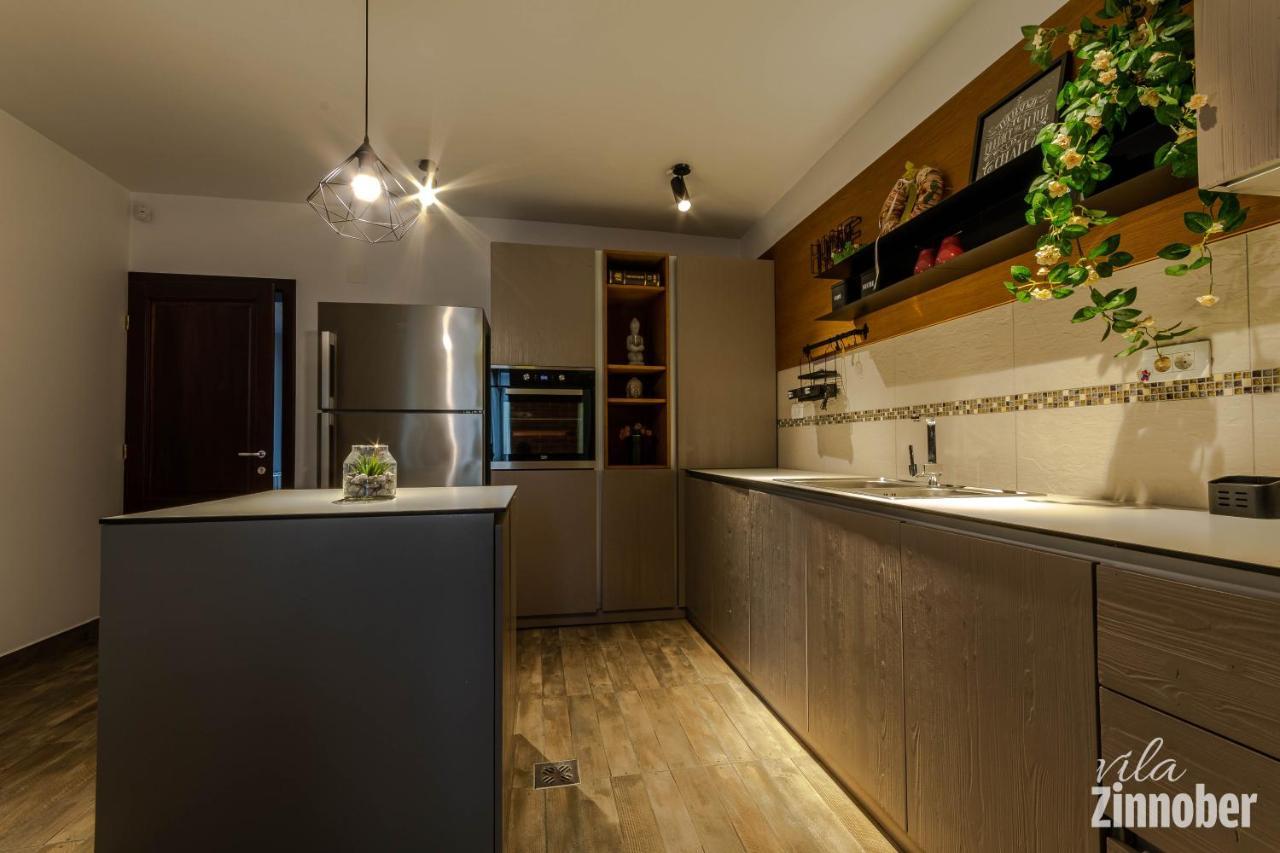 Vila Zinnober Μπρασόβ Εξωτερικό φωτογραφία