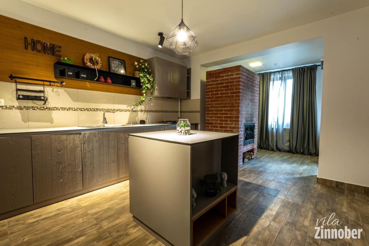 Vila Zinnober Μπρασόβ Εξωτερικό φωτογραφία