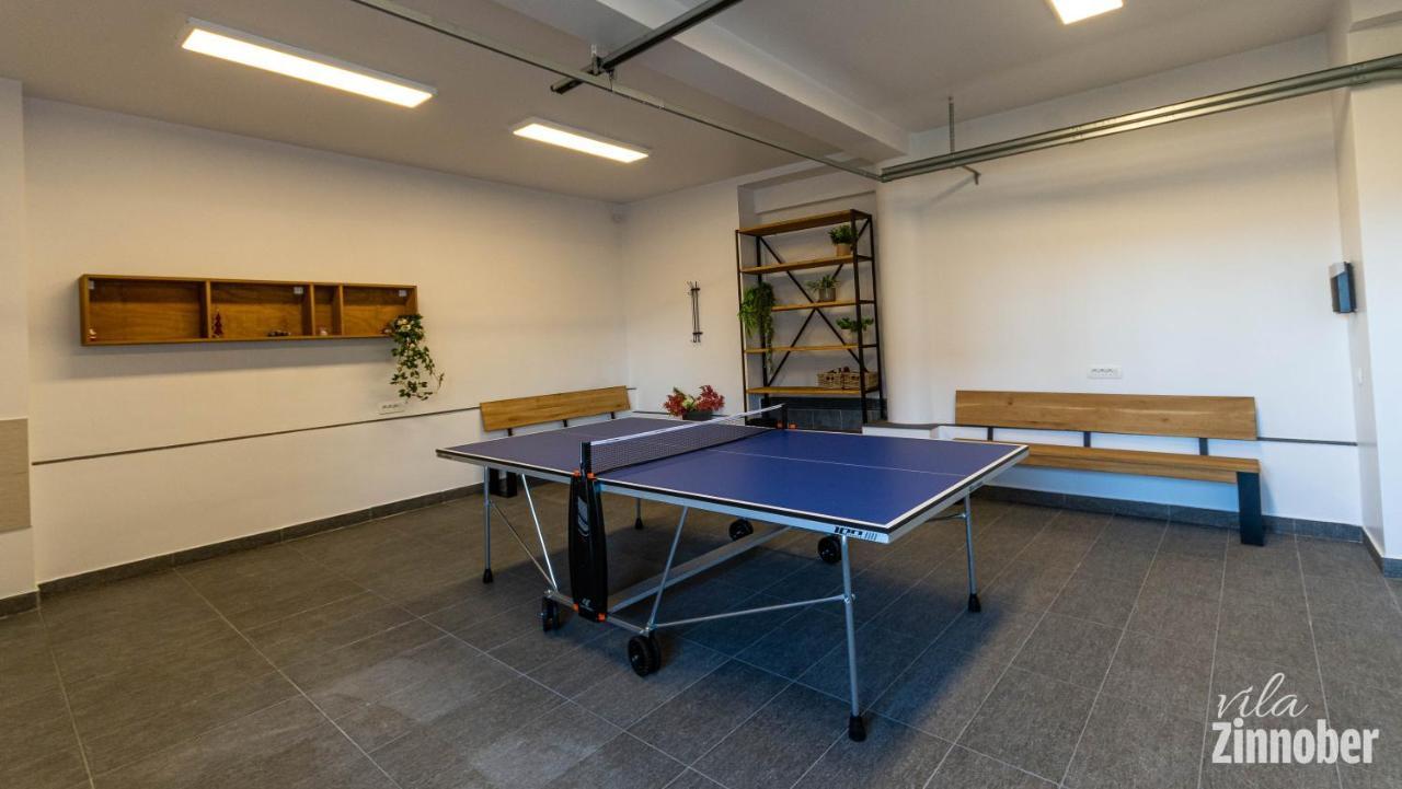 Vila Zinnober Μπρασόβ Εξωτερικό φωτογραφία